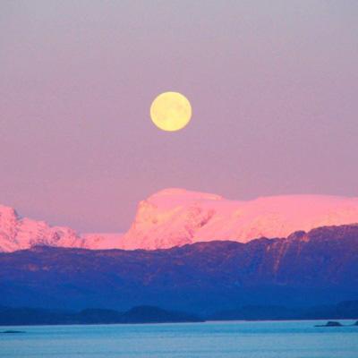 米乐m6官网登录入口app下载