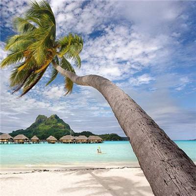 bandao全站体育下载