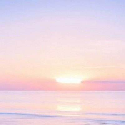 365在线下载手机版